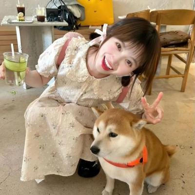 风流总统
